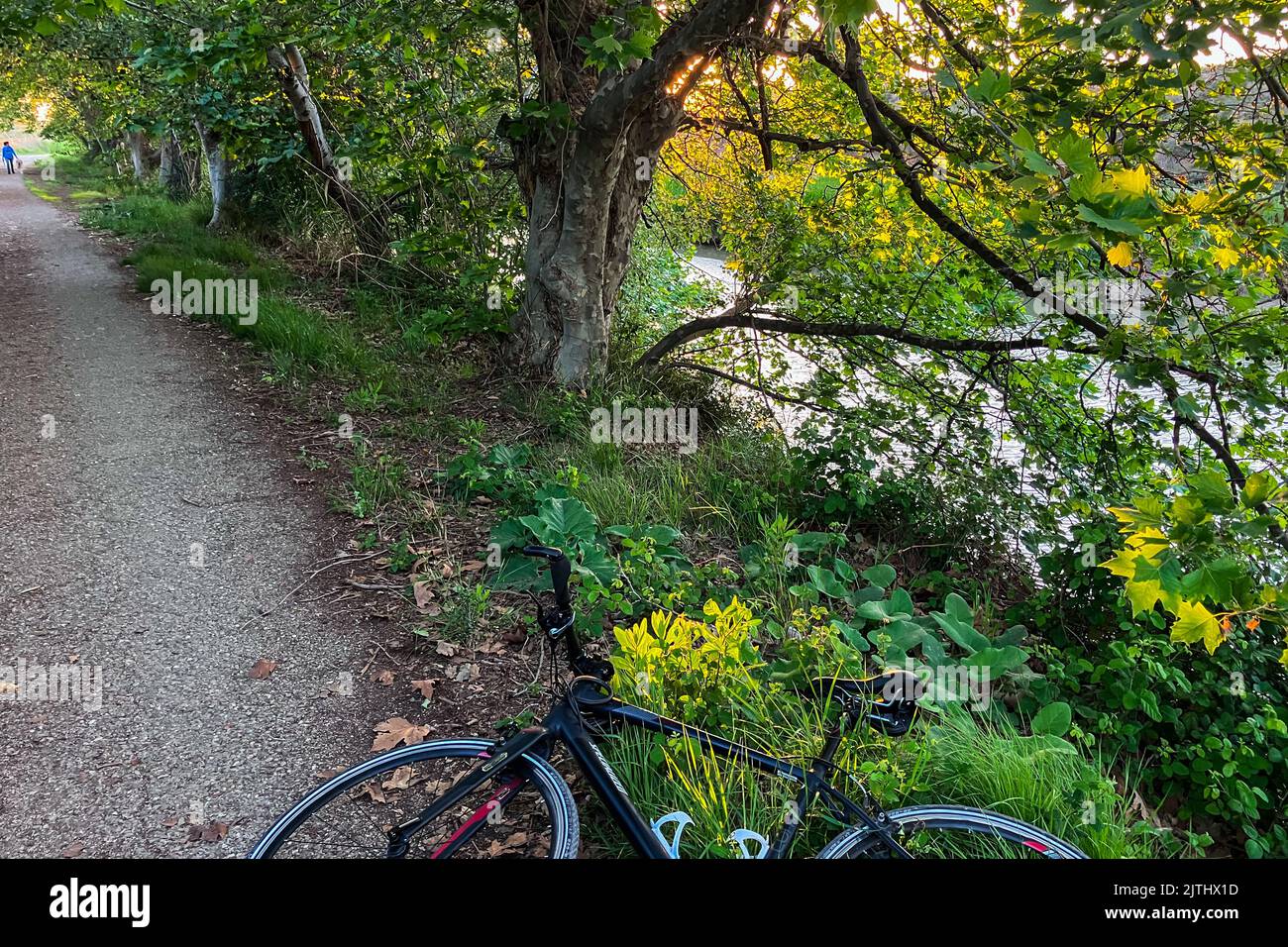 Specialized brand bike hi-res stock photography and images - Alamy