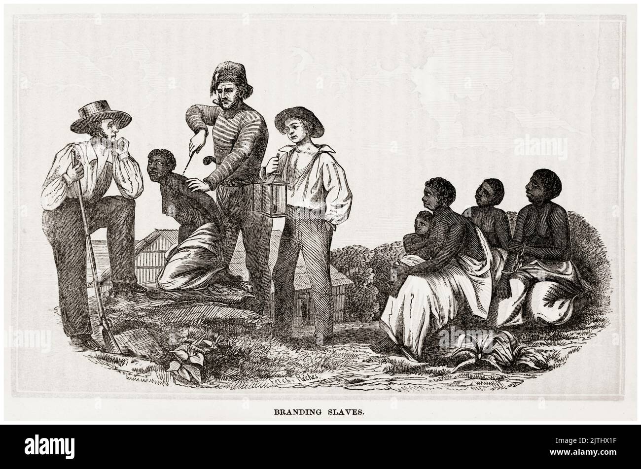 White Slave Traders branding captured African female slaves, engraving, 1859 Stock Photo