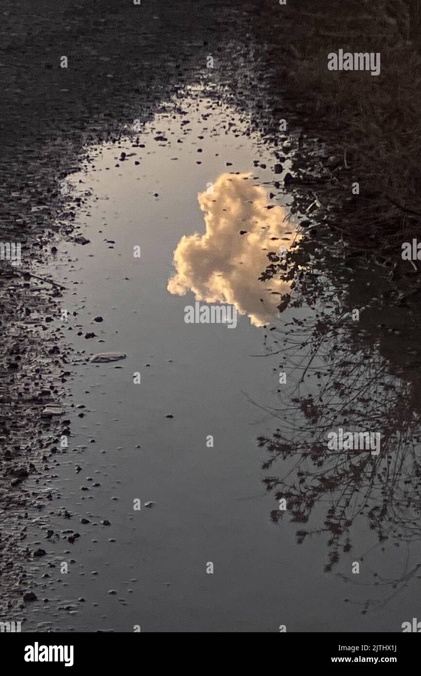 Artistic photo of a cloud reflected on rain puddle at sunset Stock ...