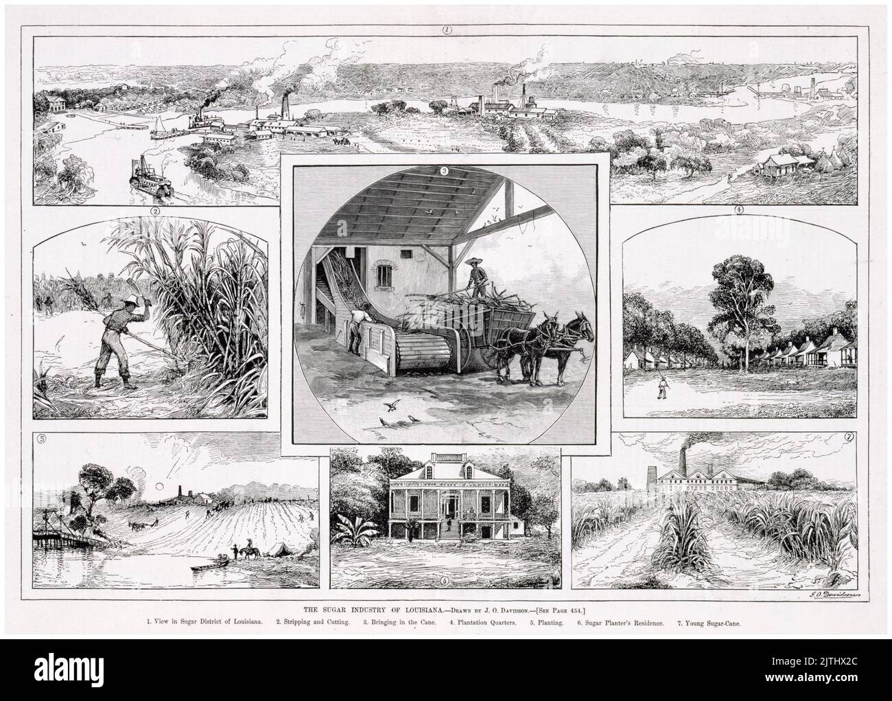 The Sugar plantation industry of Louisiana, USA , print by JO Davidson, 1883 Stock Photo