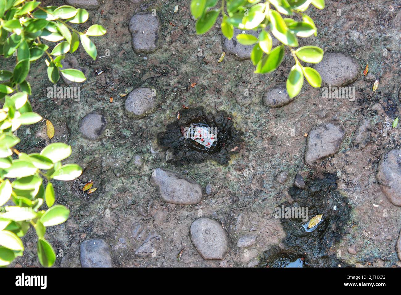A tp view of single playing card in shallow puddle between rocks Stock ...
