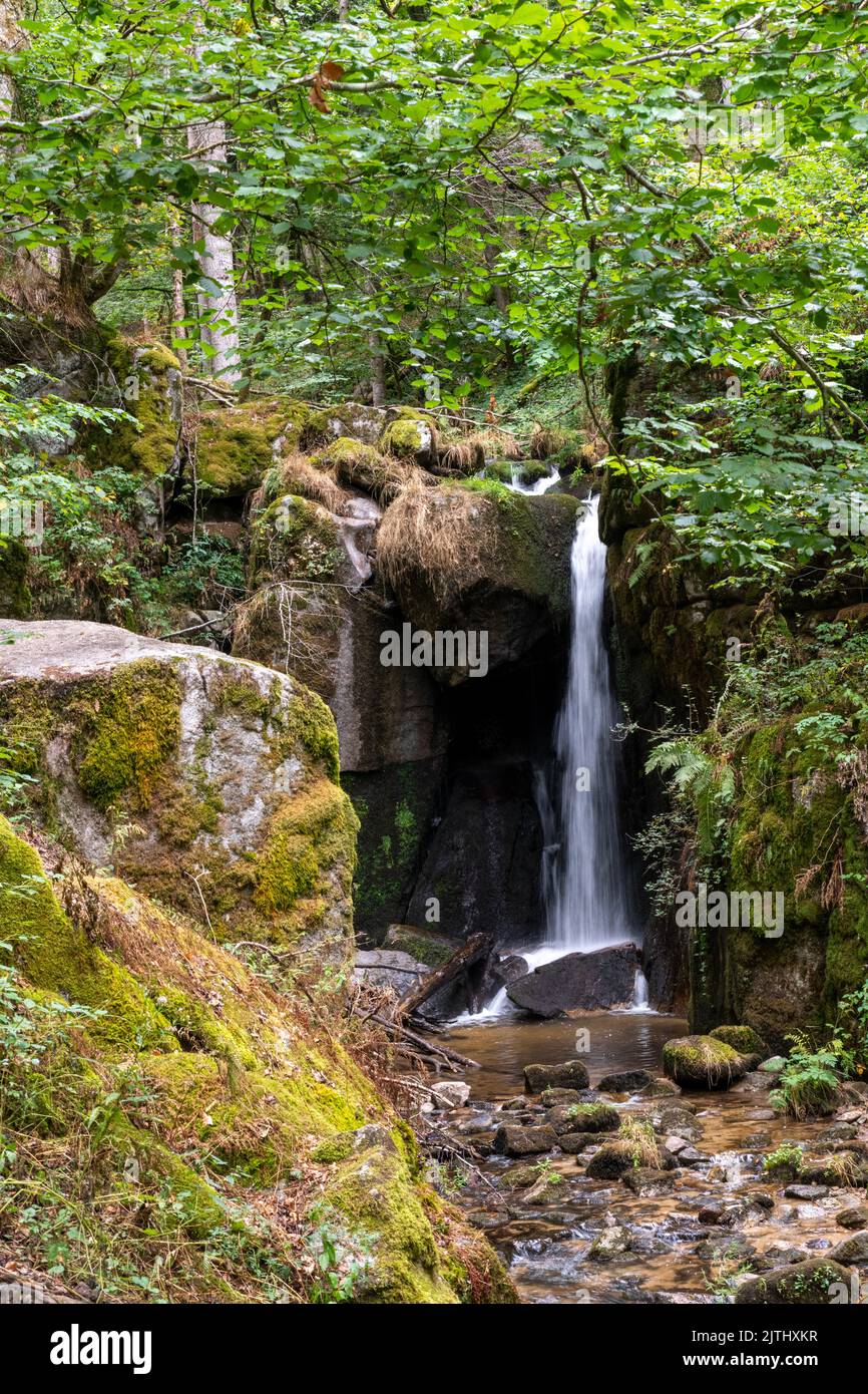 Menschen im regenwald hi-res stock photography and images - Alamy