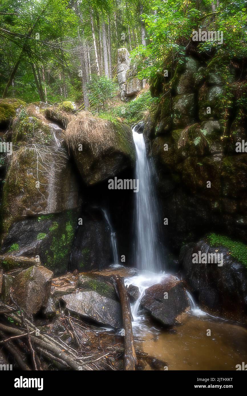 Menschen im regenwald hi-res stock photography and images - Alamy