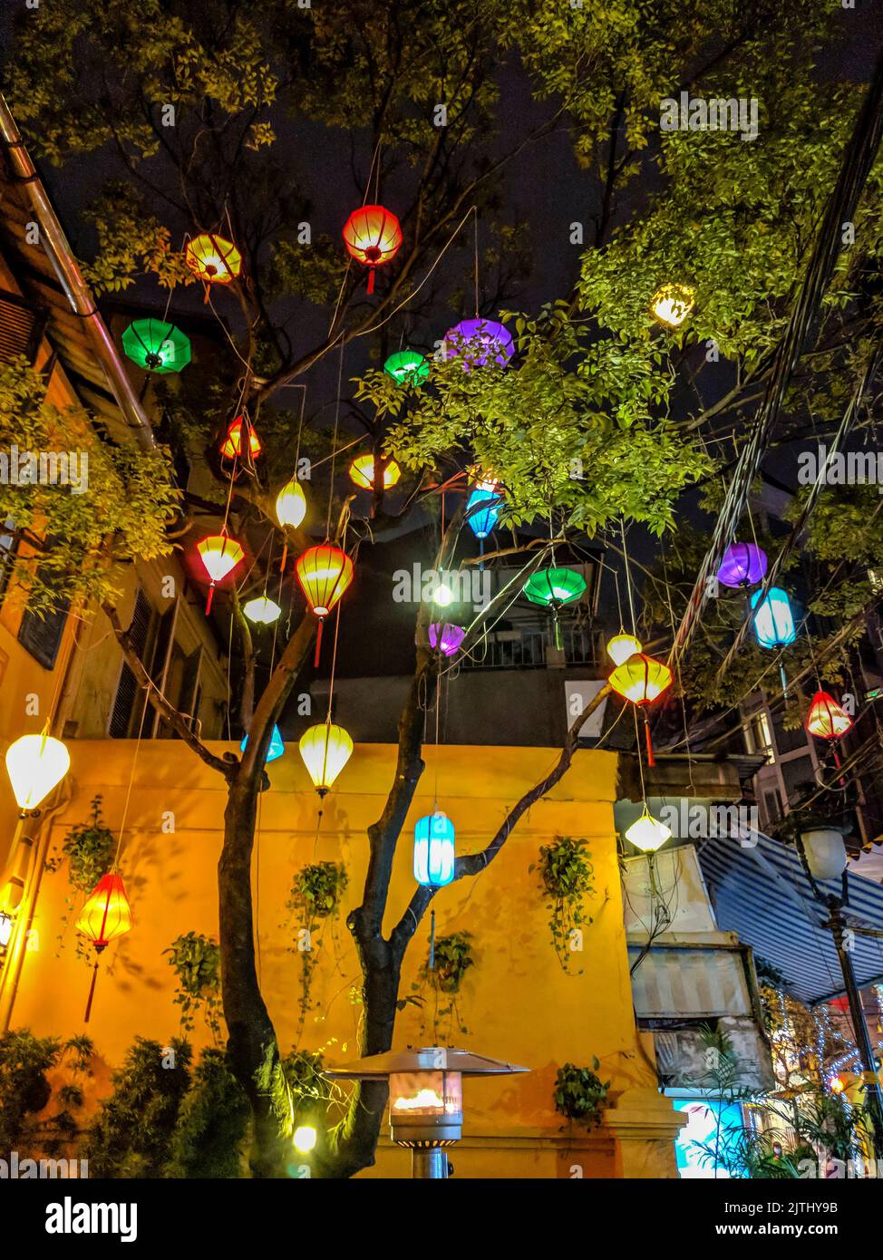 Paper lanterns strung from trees outside a restaurant in Hanoi, Vietnam