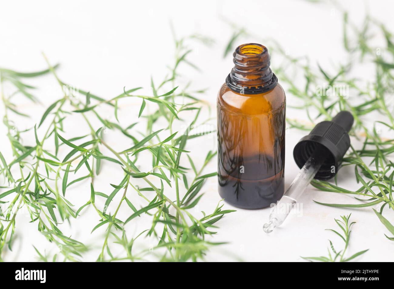 Natural essential oil in the amber bottle concept green leaves cosmetics Stock Photo