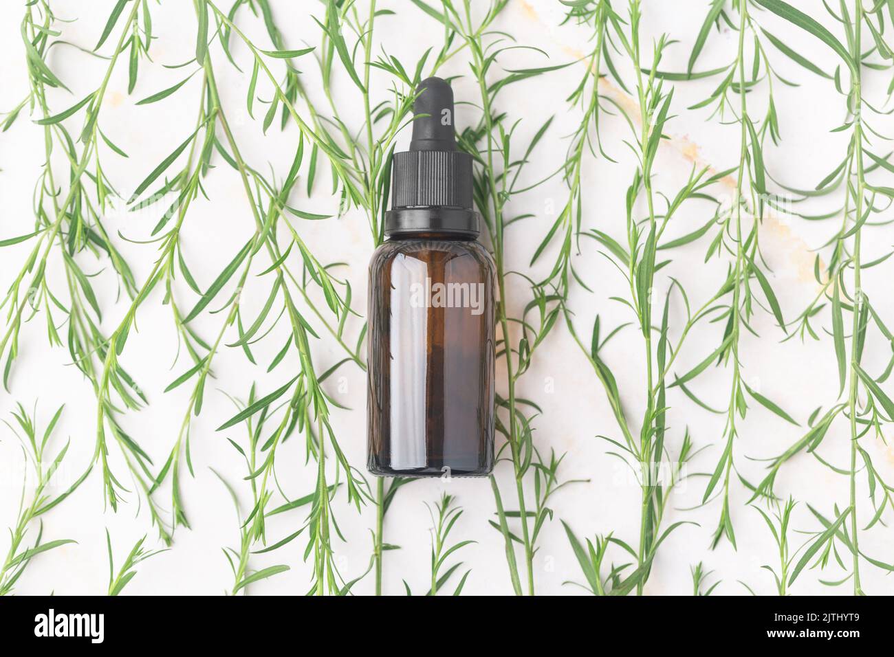 Natural essential oil in the amber bottle concept green leaves cosmetics Stock Photo