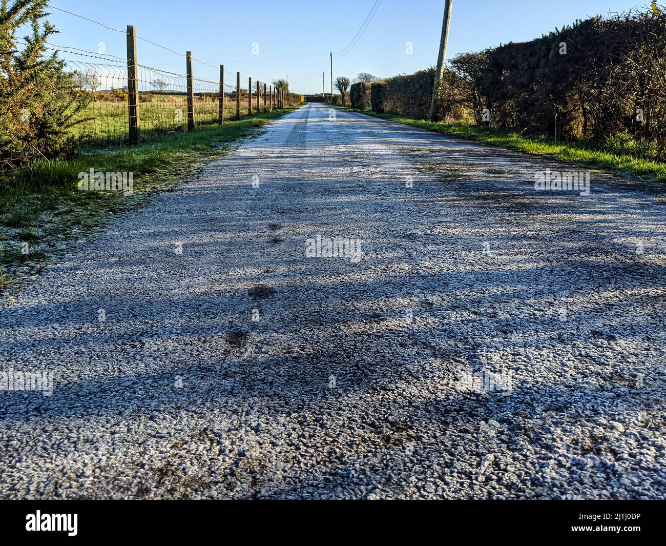 Dog footprints on a light dusting of snow on a long rural lane. Stock Photo