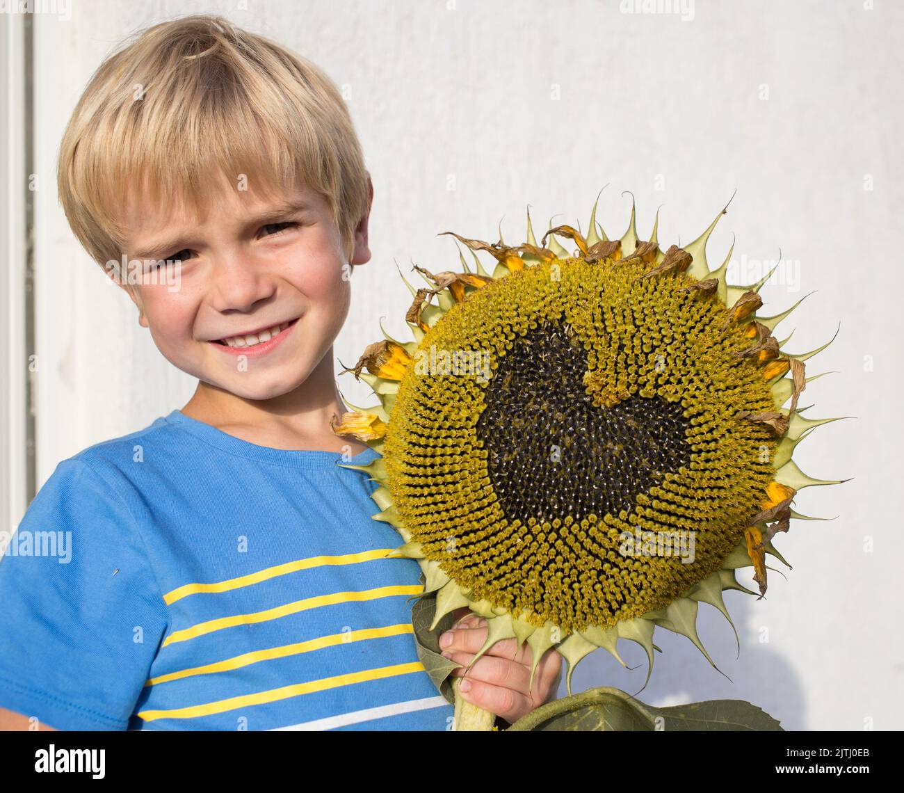 Children love nature hi-res stock photography and images - Alamy