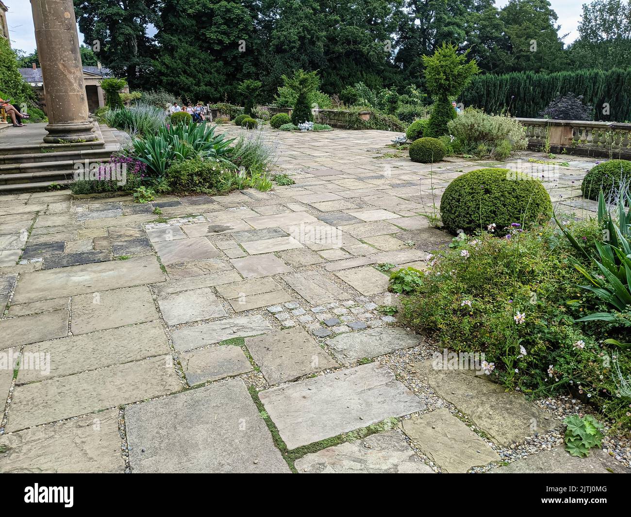 Plants growing between paving stones of different sizes laid on an old