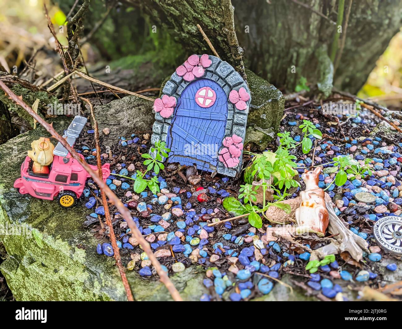 Gifts including fairy doors, statue of a kangaroo, and a toy helicopter left by visitors at a 'fairy trail', Northern Ireland. Stock Photo