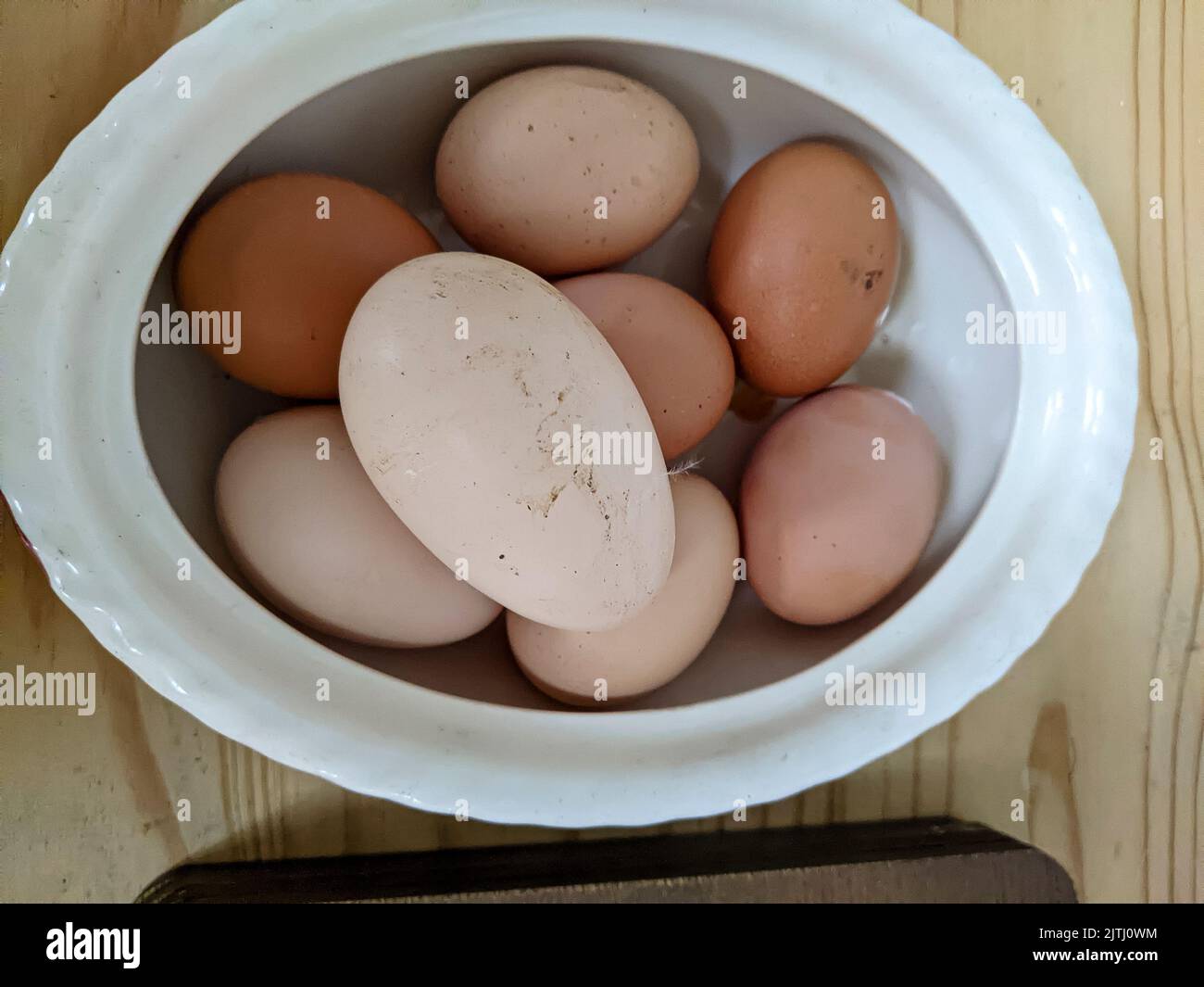 Bowl of freshly laid free-range eggs Stock Photo