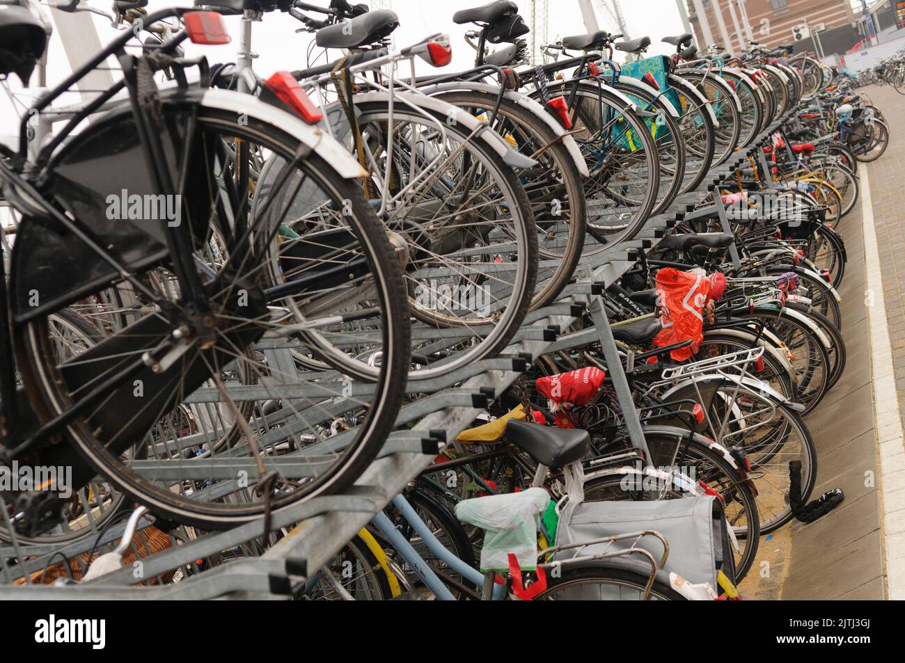 Lots of bicycles parked in a cycle park outside Amsterdam Centraal Station. Stock Photo