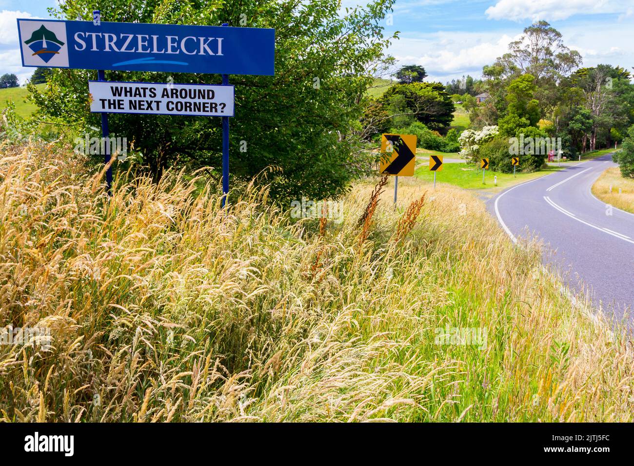 Strzelecki Rangers landscape, Gippsland roadside, Victoria, Australia. Stock Photo