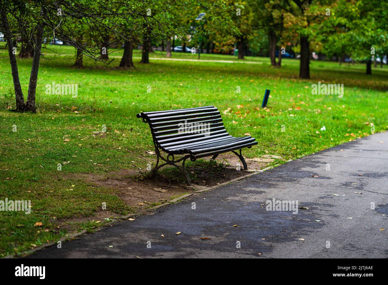 Autumn scenery with alley of fall leaves Stock Photo - Alamy