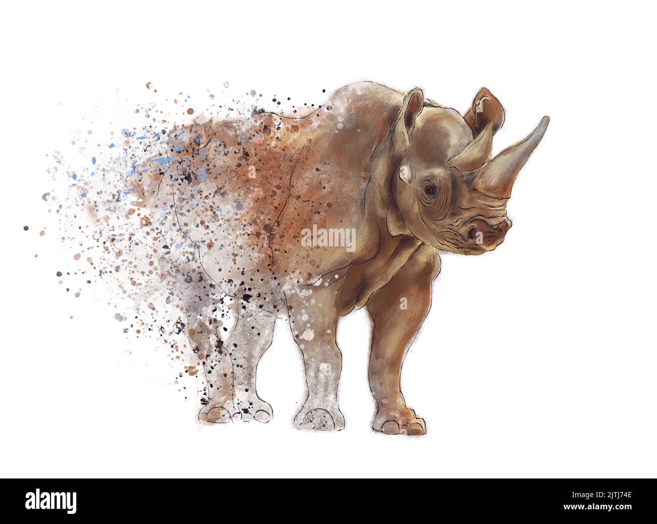 Rhinoceros Watercolor .Digital Painting on White Background Stock Photo