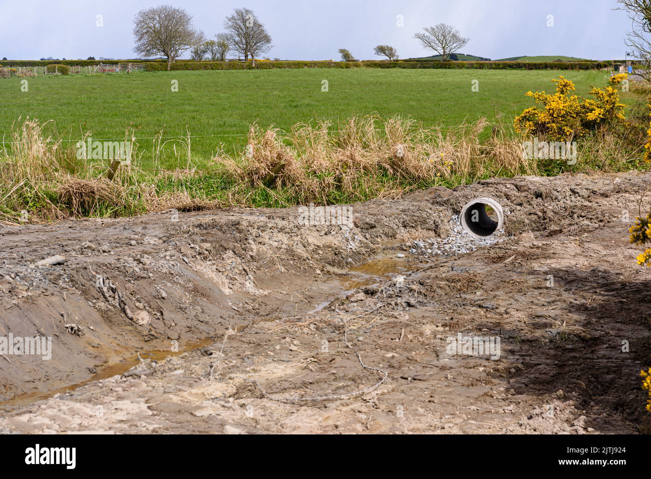 A drainage ditch is dug in a field, with a small culvert pipe to drain water into a small stream. Stock Photo