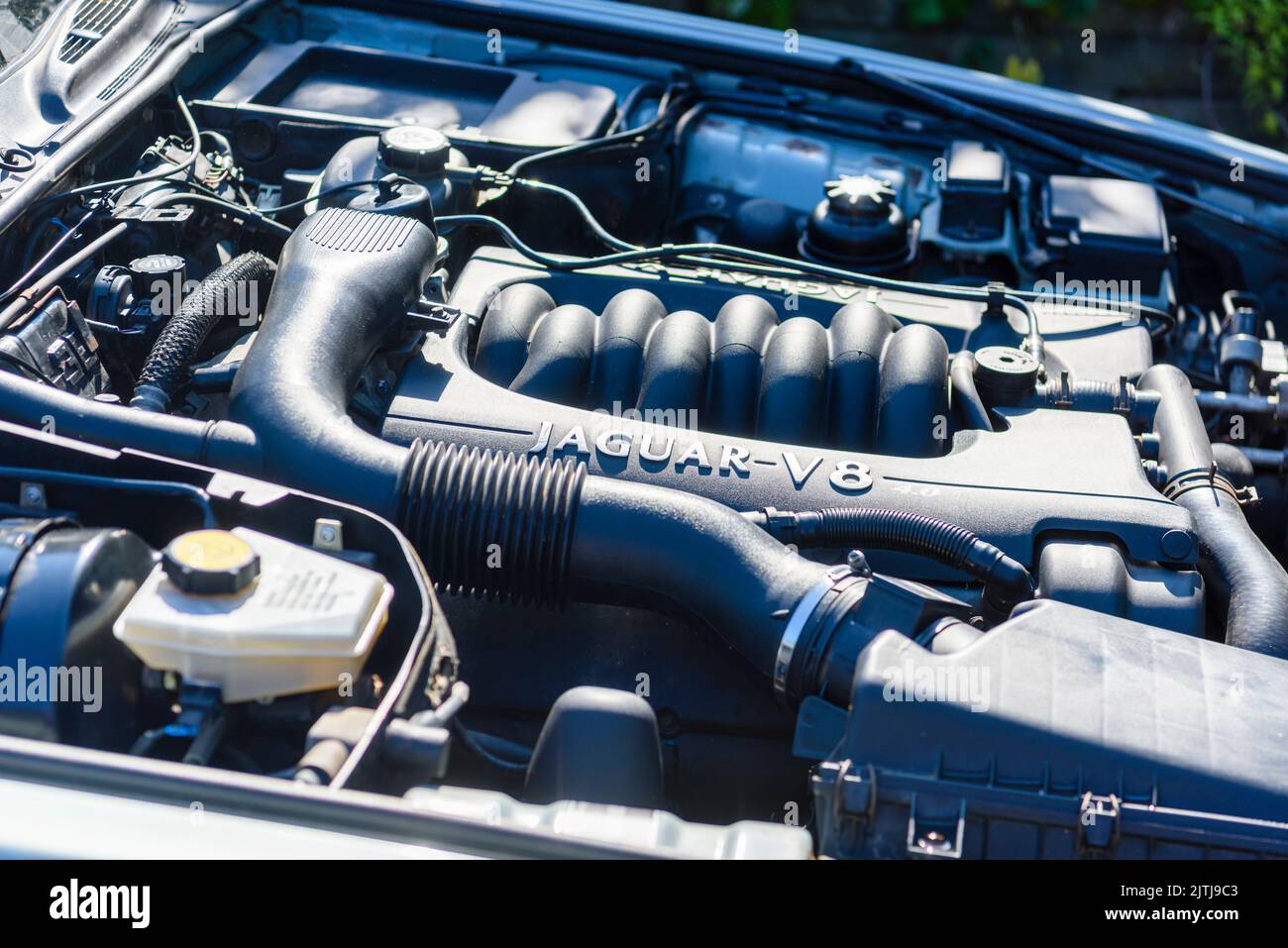 4.0l V8 engine of a 1997 Jaguar XJR Stock Photo