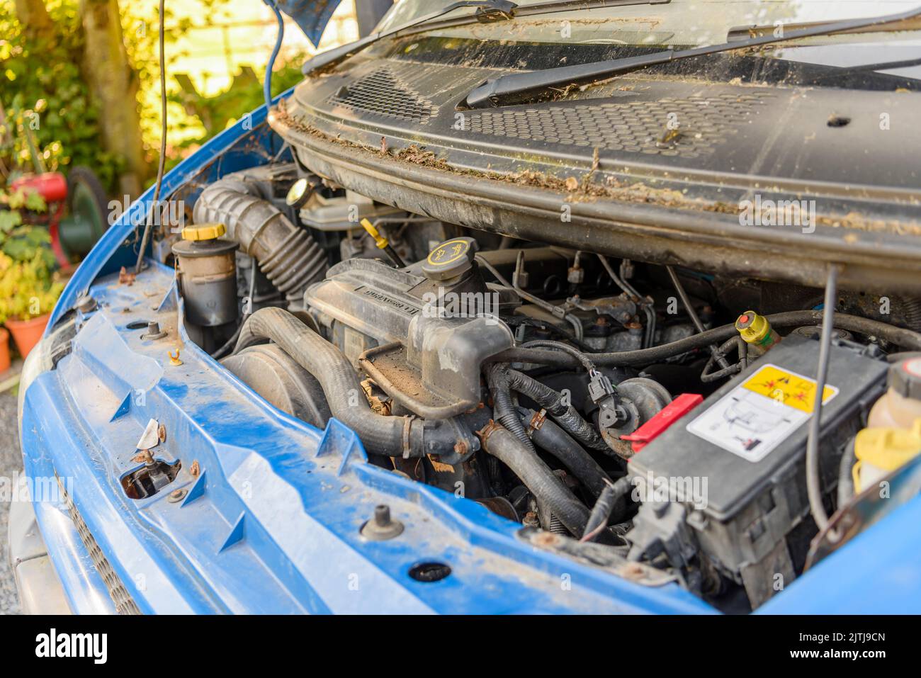 Very Old Car Used Transportation Yams Stock Photo 780665647 60 OFF