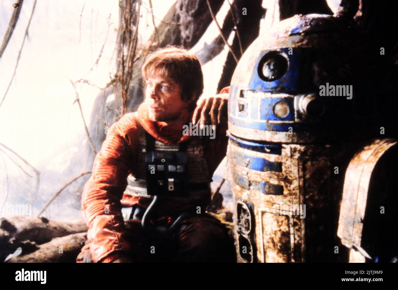 Star Wars Frühstücksbrettchen – Leia & R2-D2 Design, Lizenziert & Originell