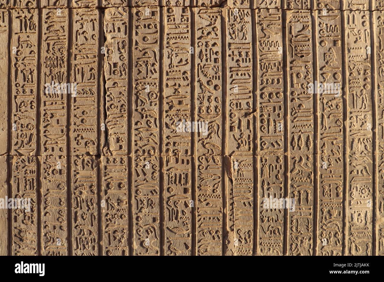 Ancient pharaonic hieroglyphs carved on walls of Kom Ombo temple in Aswan, Egypt Stock Photo