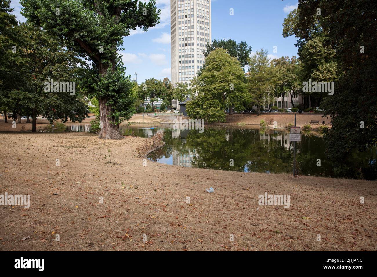 dried up lawn in the park at the Theodor-Heuss-Ring near the square Ebertplatz, drought, the Ringturm high-rise building on Ebertplatz, Cologne, Germa Stock Photo