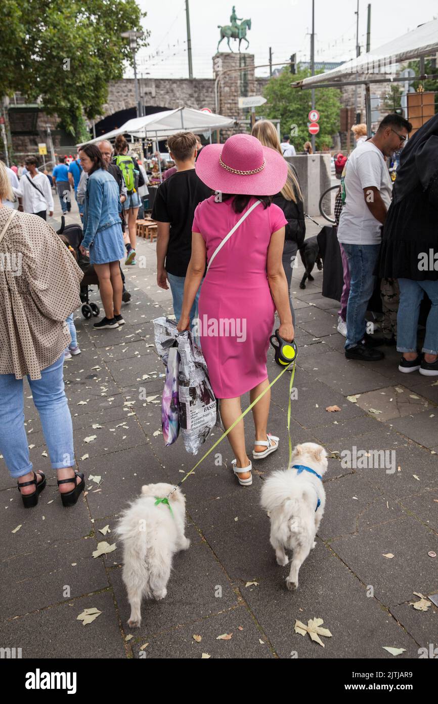 flea market on the banks of the river Rhine between Bastei and Hohenzollern bridge, woman with two dogs, Cologne, Germany. Troedelmarkt am Rheinufer z Stock Photo