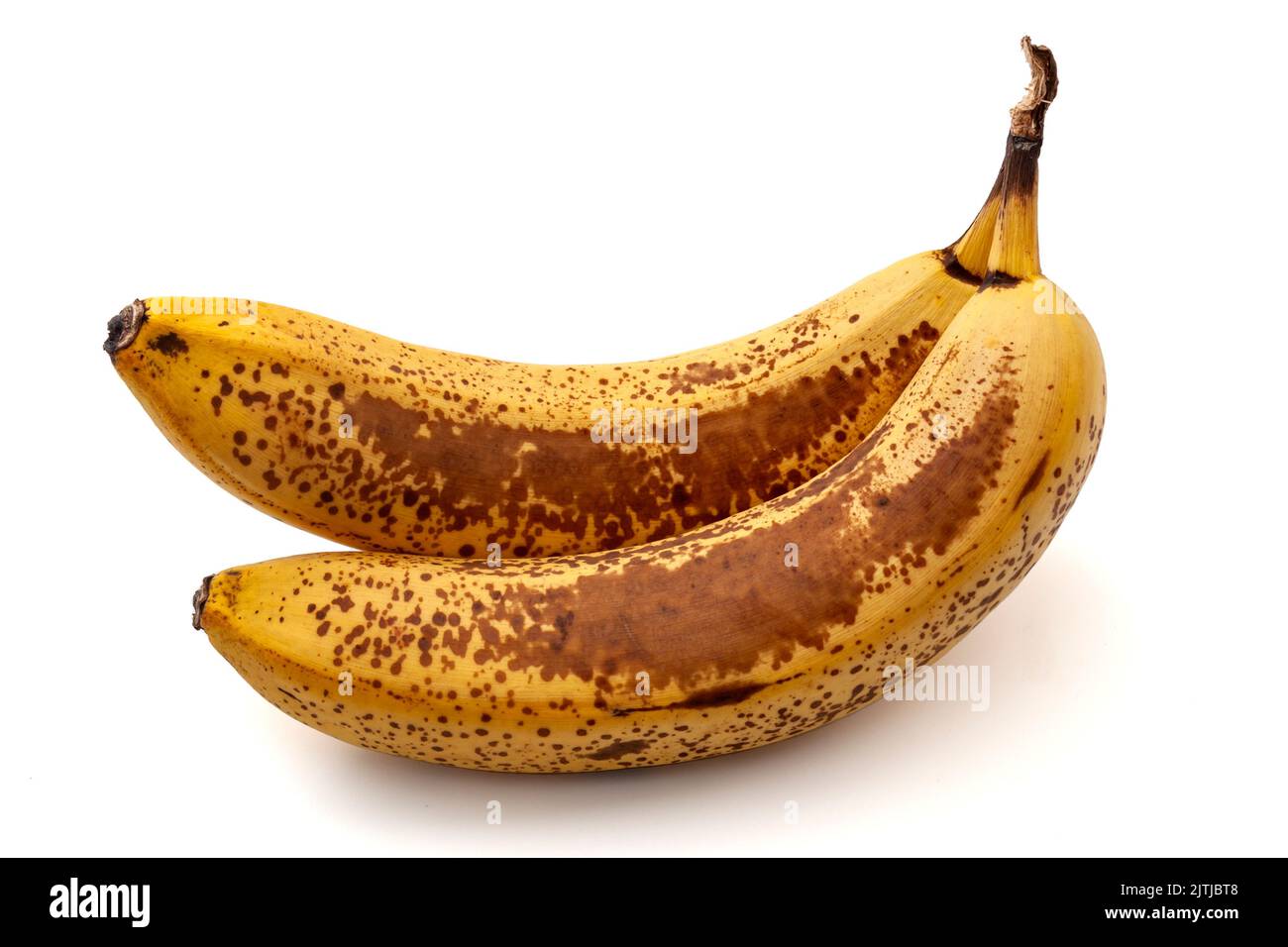 Two wrinkled old bananas with brown spots isolated on white background with clipping path cutout concept for spotted over ripe tropical fruit, natural Stock Photo