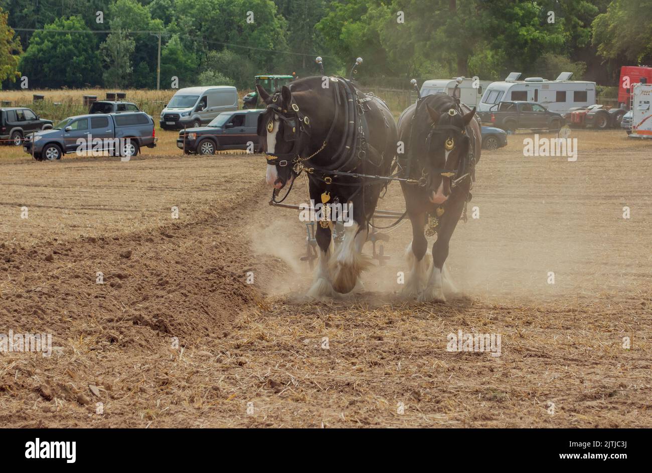 Salop/Shrewsbury steam fair, held at Onslow Park Shrewsbury. A wide