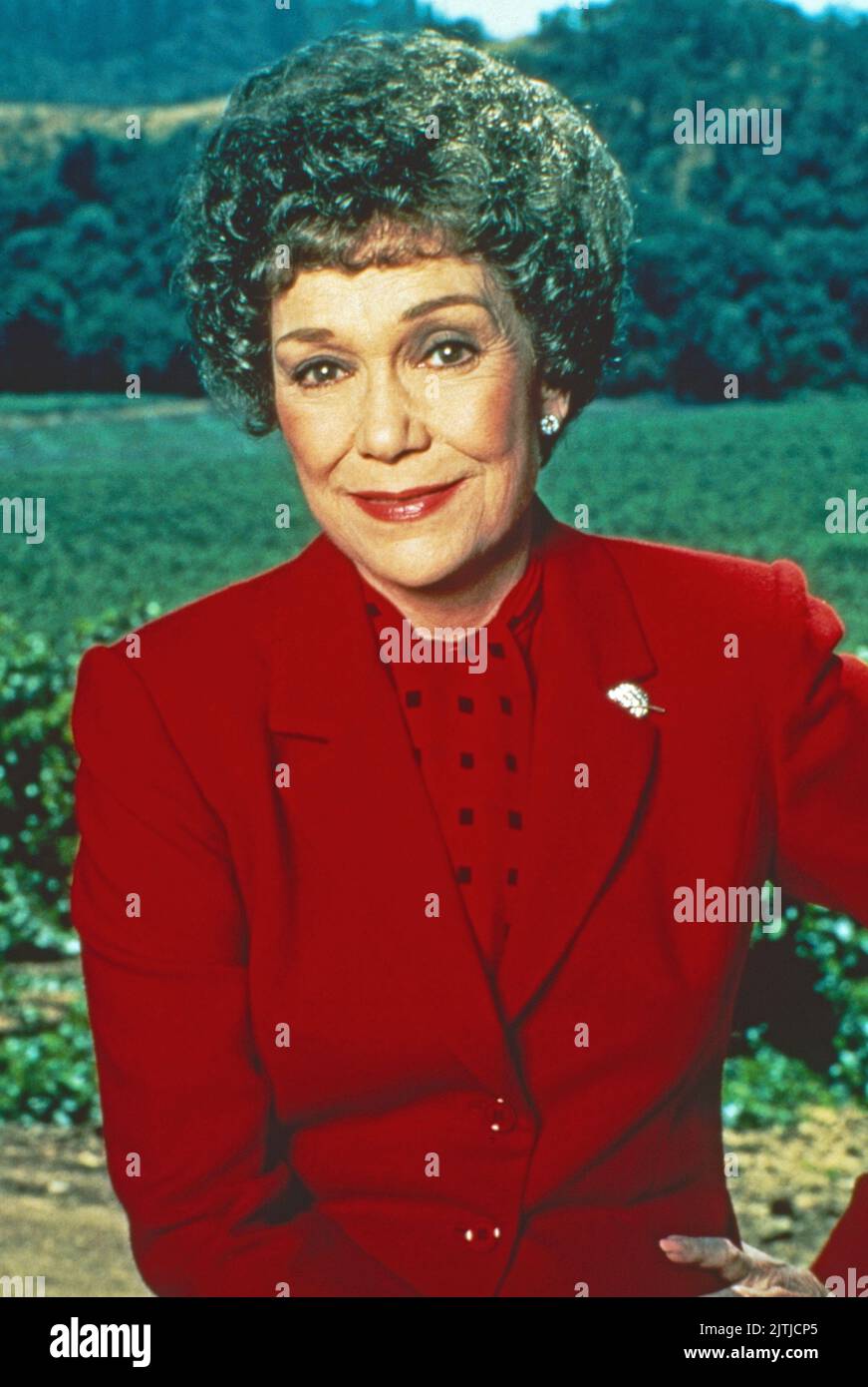 Falcon Crest, Fernsehserie, USA 1981 - 1990, Darsteller: Jane Wyman Stock Photo