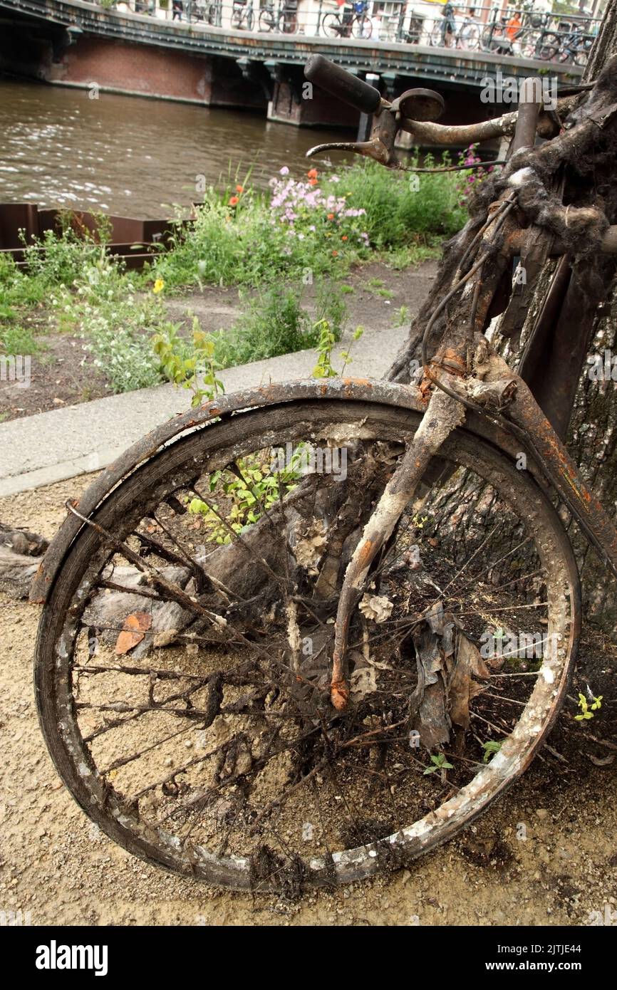 Underwater Rusted Bicycle Rims Muddy wheel of bicycle hi-res stock photography and images - Alamy