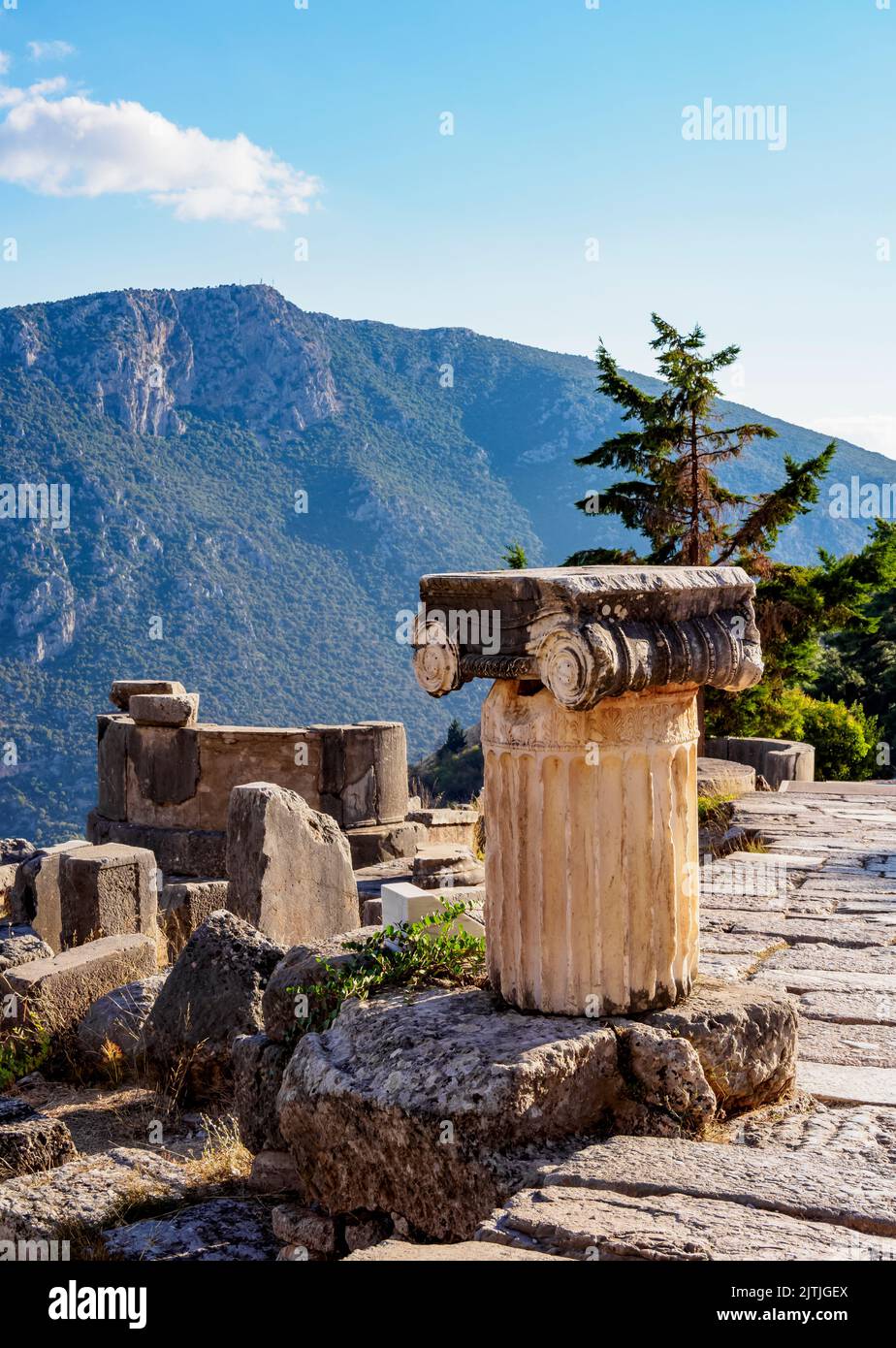 Ionic Order Column, Delphi Archaeological Site, Delphi, Phocis, Greece Stock Photo