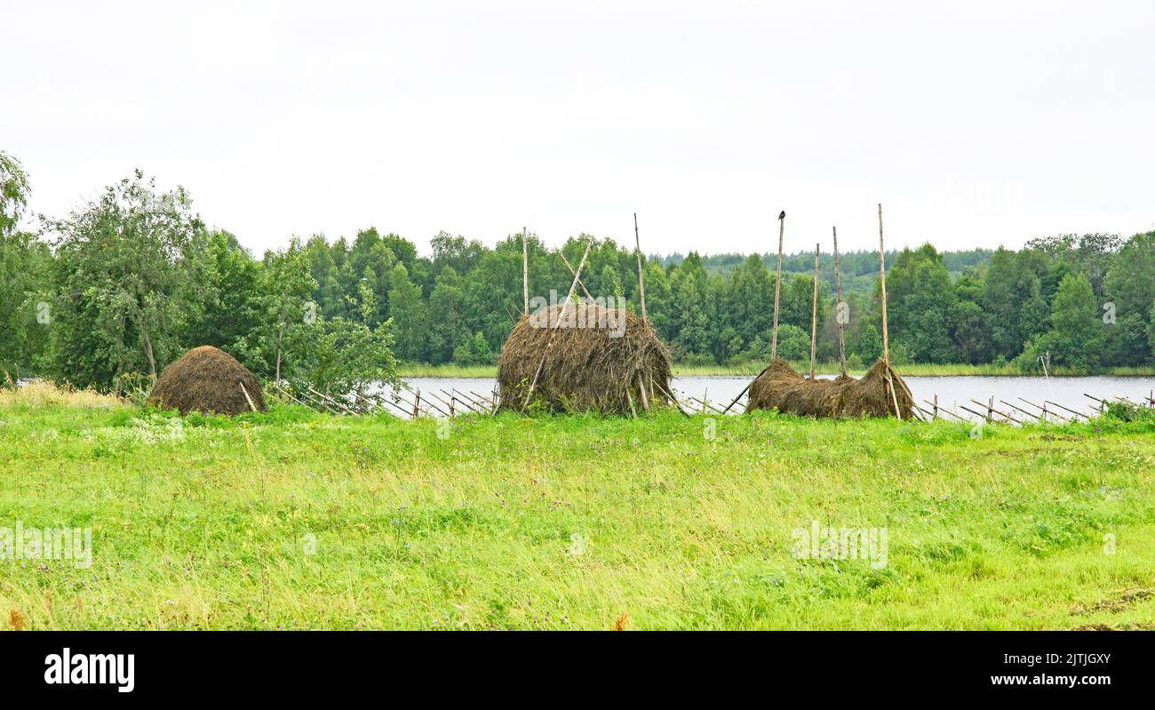 Haystacks on the banks of the Svir River, Russian Federation, Russia Stock Photo