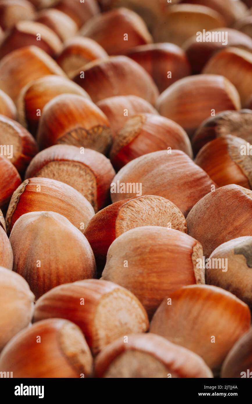 Closeup of some unopened hazelnuts filling the entire frame Stock Photo