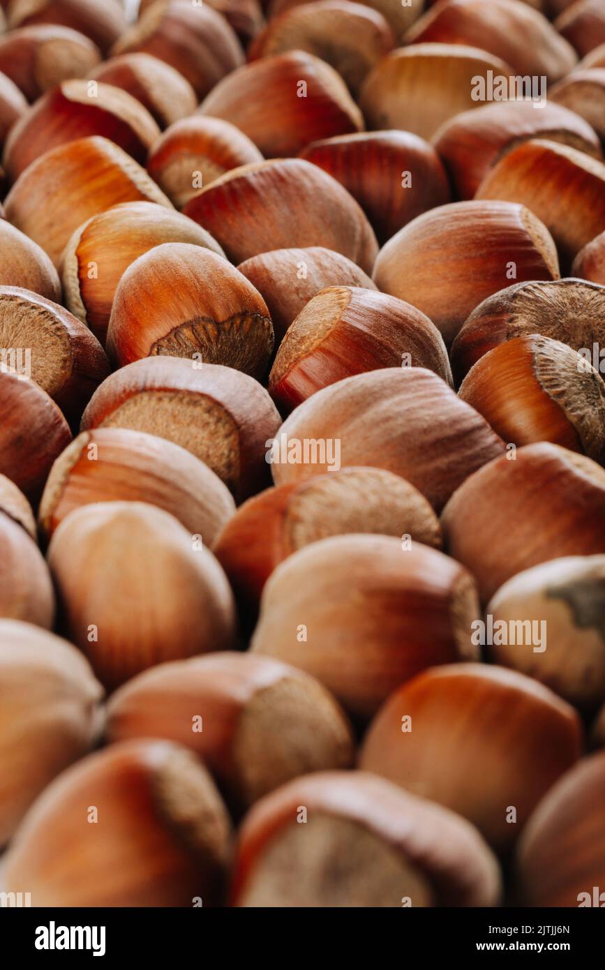 Closeup of some unopened hazelnuts filling the entire frame Stock Photo