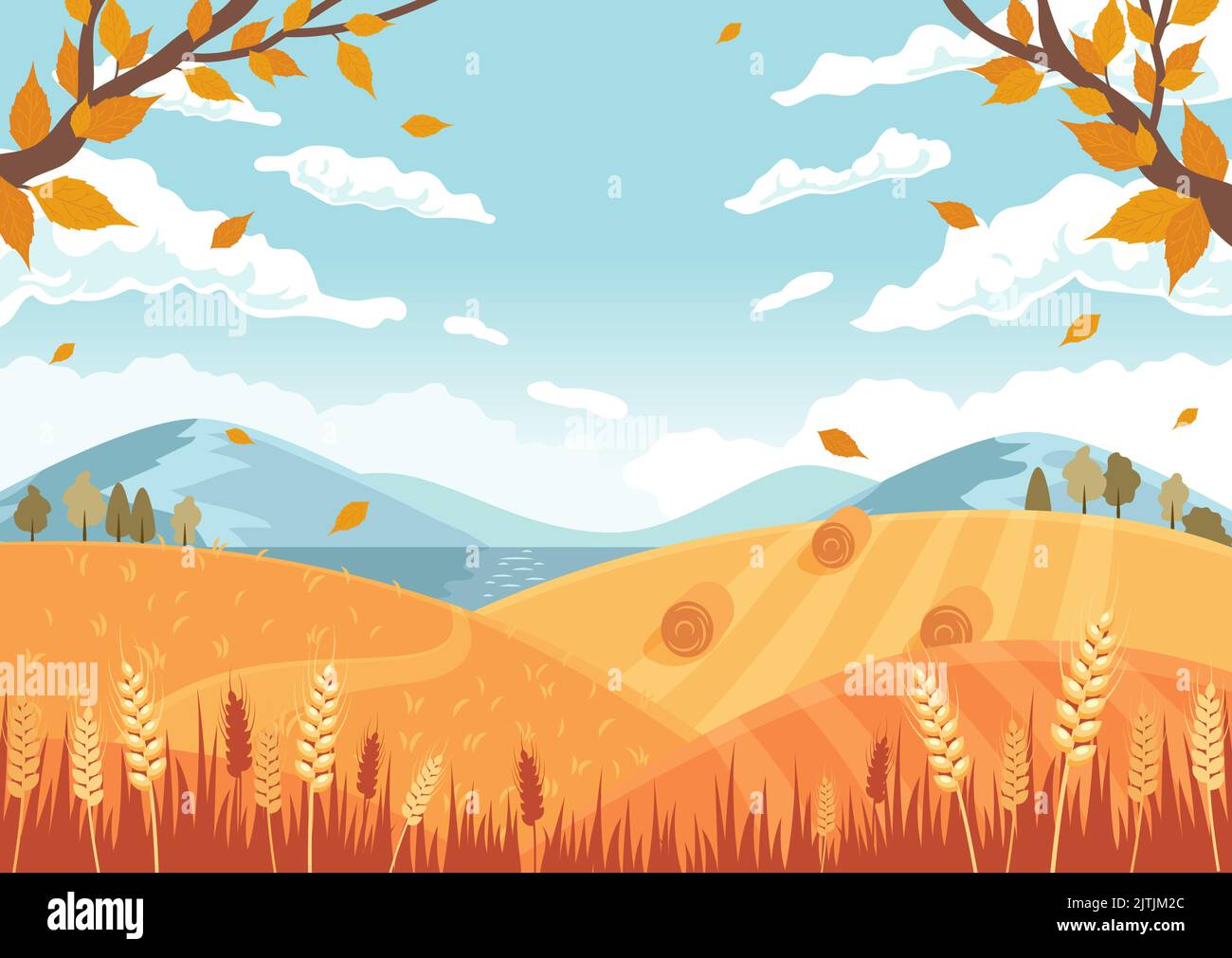 Autumn landscape. Fields with crops, wheat golden ripe spikelets, round hay bales. Vector illustration in flat style Stock Vector