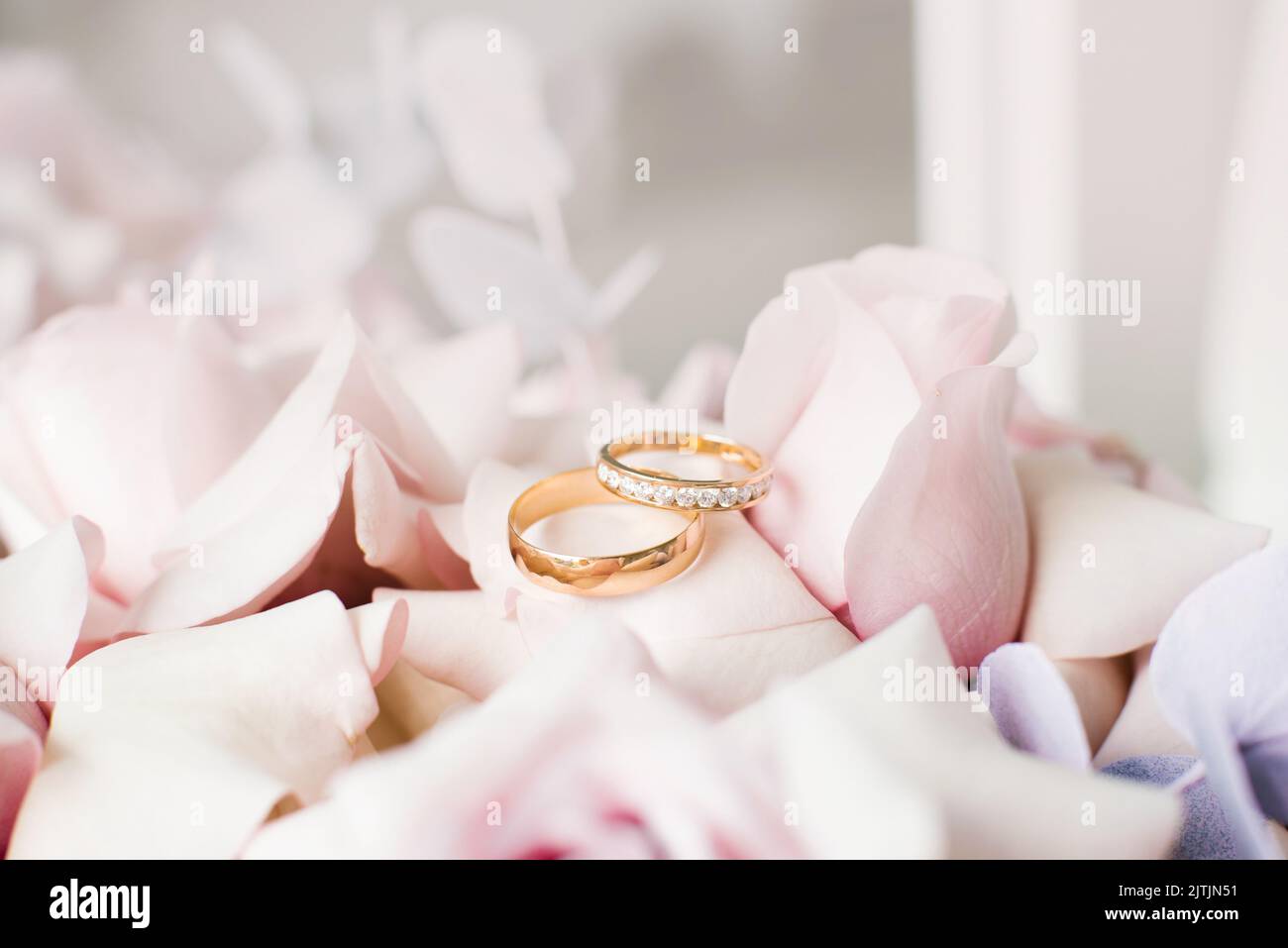 Wedding rings on wedding card with roses hi-res stock photography and  images - Alamy