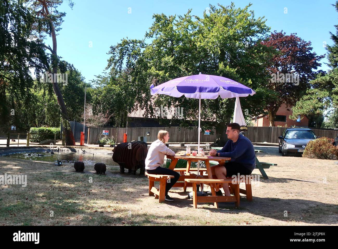 Brightwell, Suffolk, UK - 31 August 2022: Al fresco lunch at The Stables Cafe, Brightwell Barns. Stock Photo