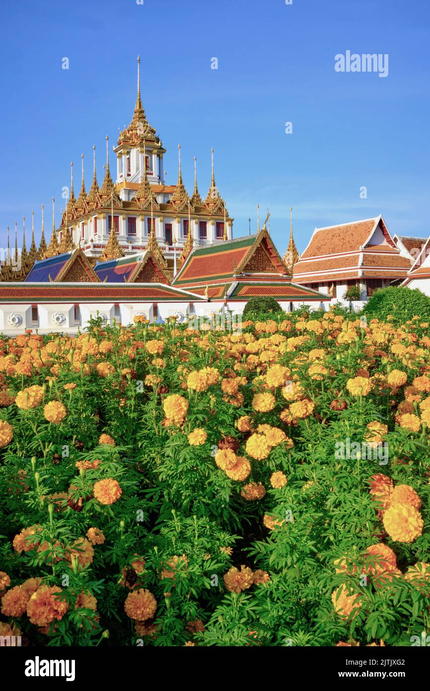 The iconic Lohaprasad building, part of (temple) Wat Ratchanadta, with marigold flowers from an adjacent park in the foreground; Bangkok, Thailand Stock Photo
