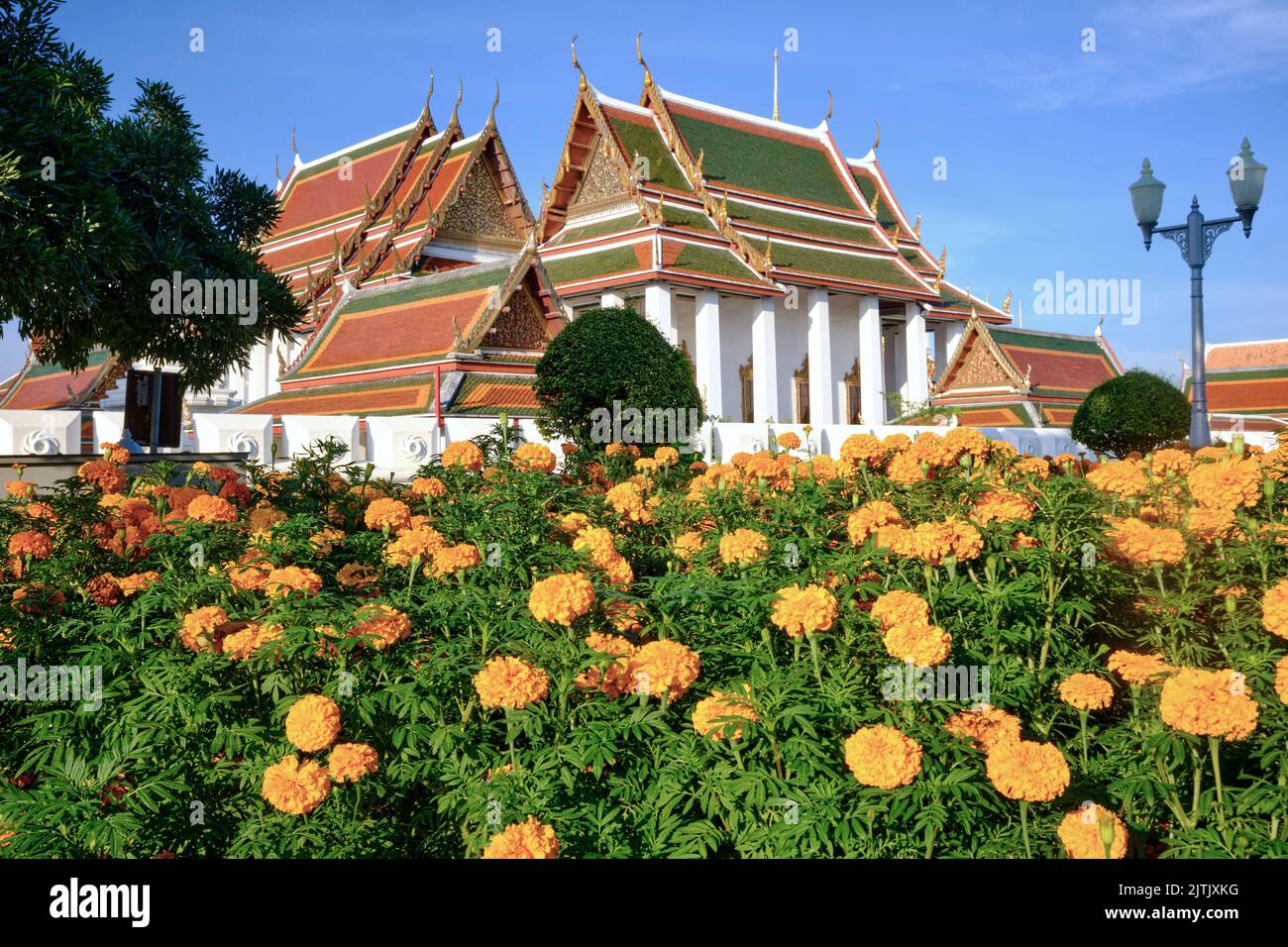 Wat Ratchanadta, a landmark Buddhist temple in Bangkok, Thailand, with marigold flowers from an adjacent park in the foreground Stock Photo