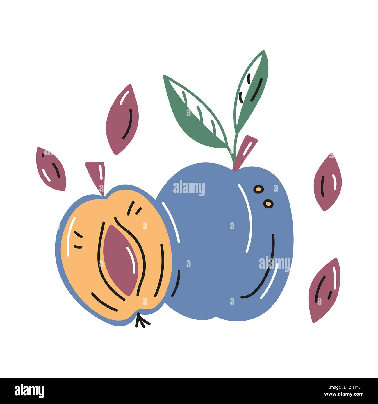 Vector illustration of plums whole and cut with pits. Trend style Stock