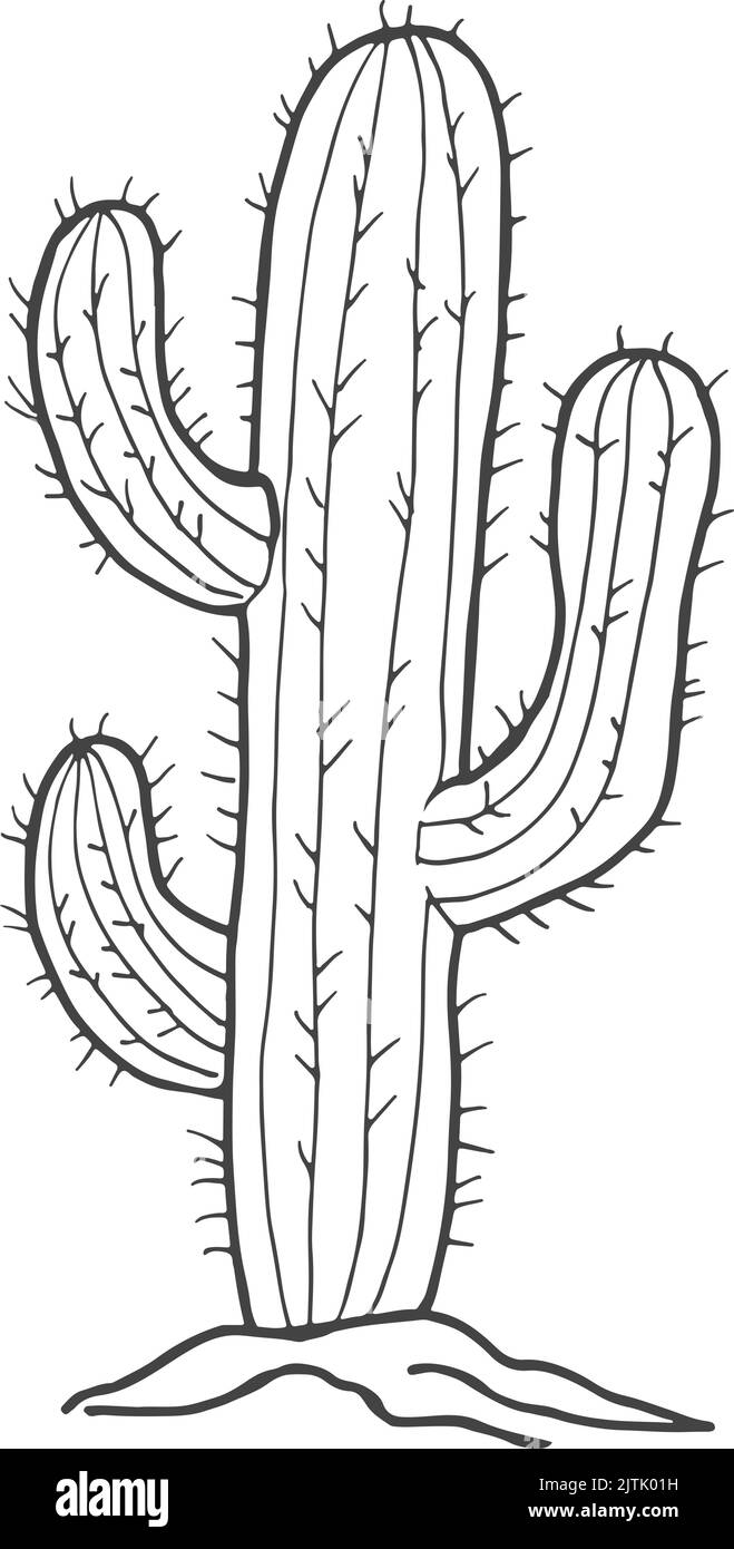 Cactus sketch. Desert plant with sharp thorns Stock Vector