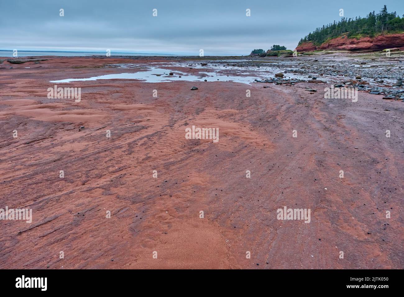 File:Bay of Fundy - Tide In.jpg - Wikimedia Commons