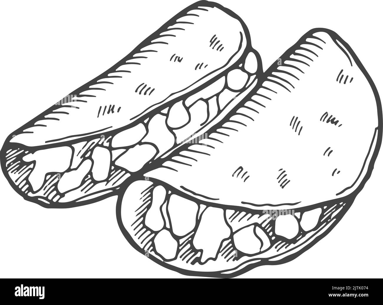 Taco sketch. Traditional mexican fast food dish Stock Vector