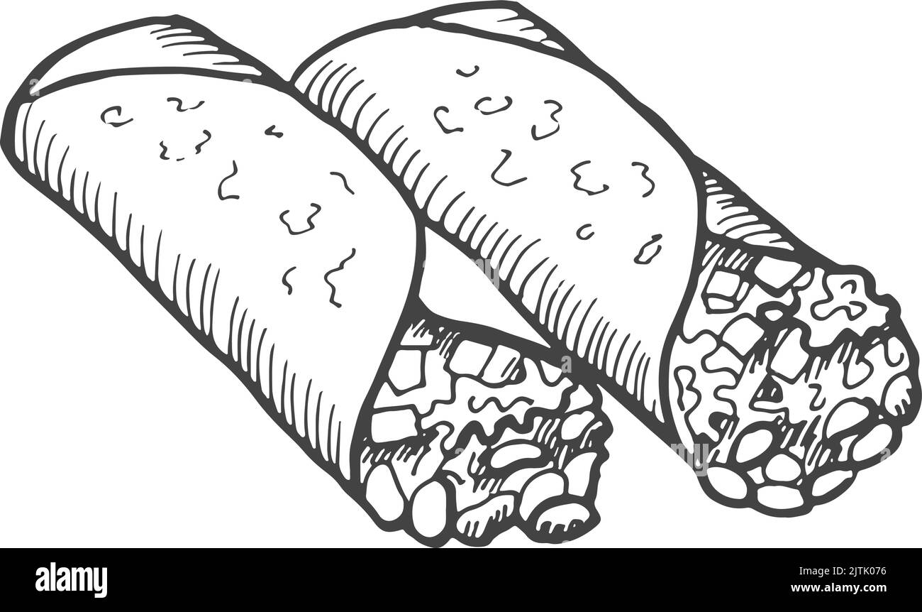 Burrito sketch. Traditional mexican food roll engraving Stock Vector