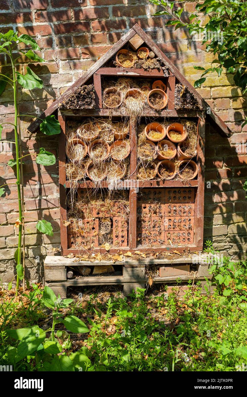 Insect Hotel, a refuge for nesting bugs or insects. Stock Photo