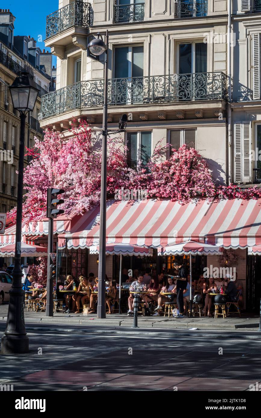 Colourful pink cafe on rue Saint-Antoine in the Marais quarter, Paris, France Stock Photo