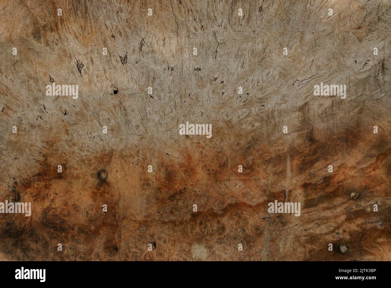 Beautiful texture of the strong wood named Ormosia wood, Wood texture background. Stock Photo