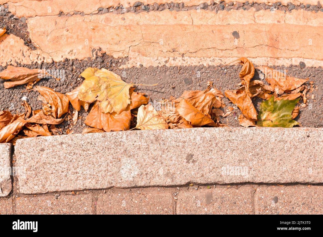 Golden and orange autumn leaves close up natural background Stock Photo ...