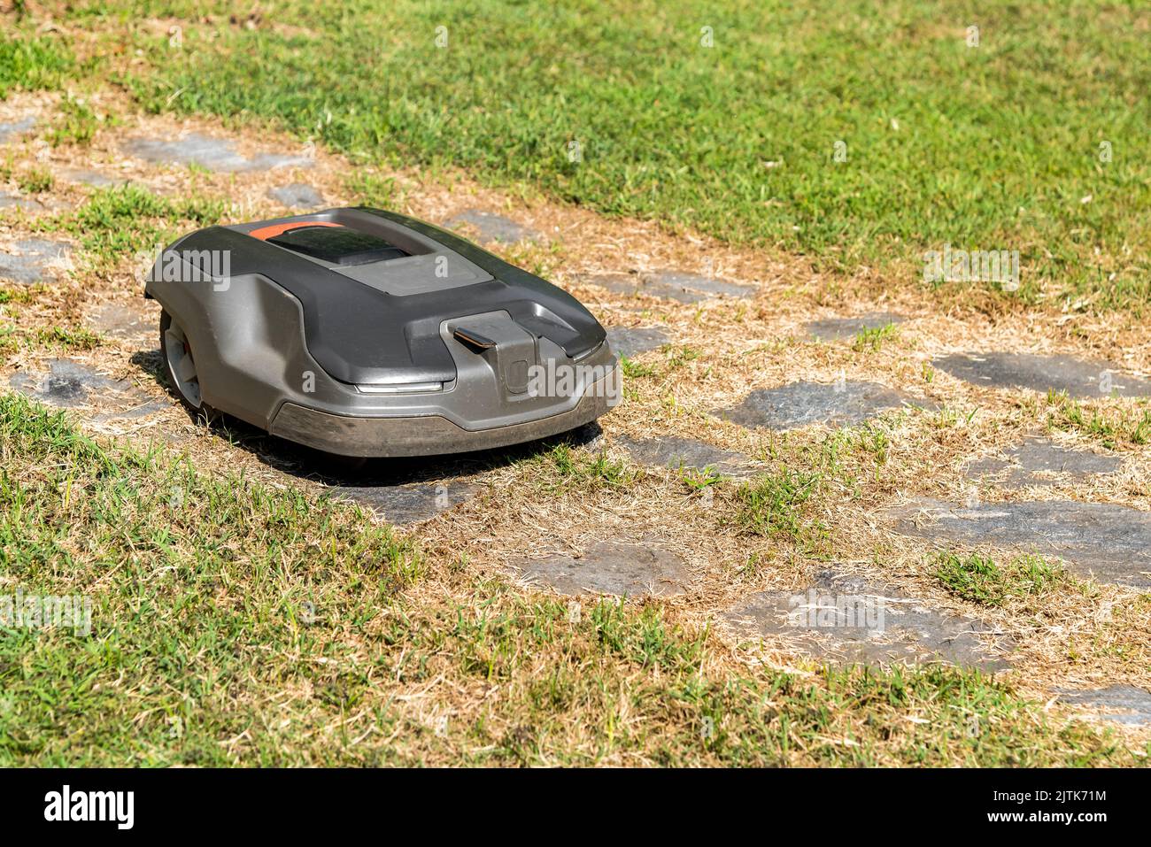Robotic Lawn Mower cutting grass in the garden in a summer day. Stock Photo