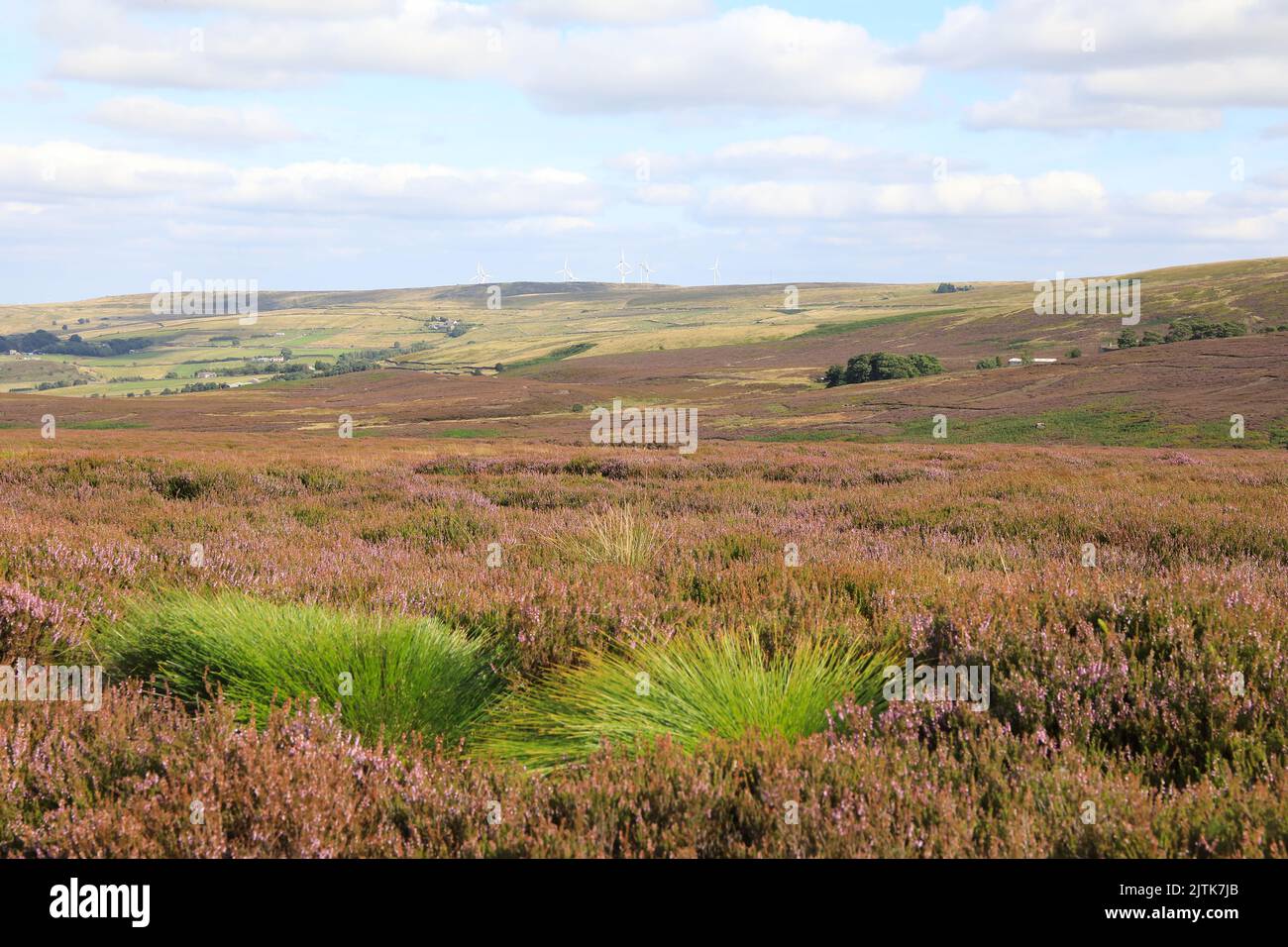 The walk from Haworth on the beautiful Yorkshire Dales, along the